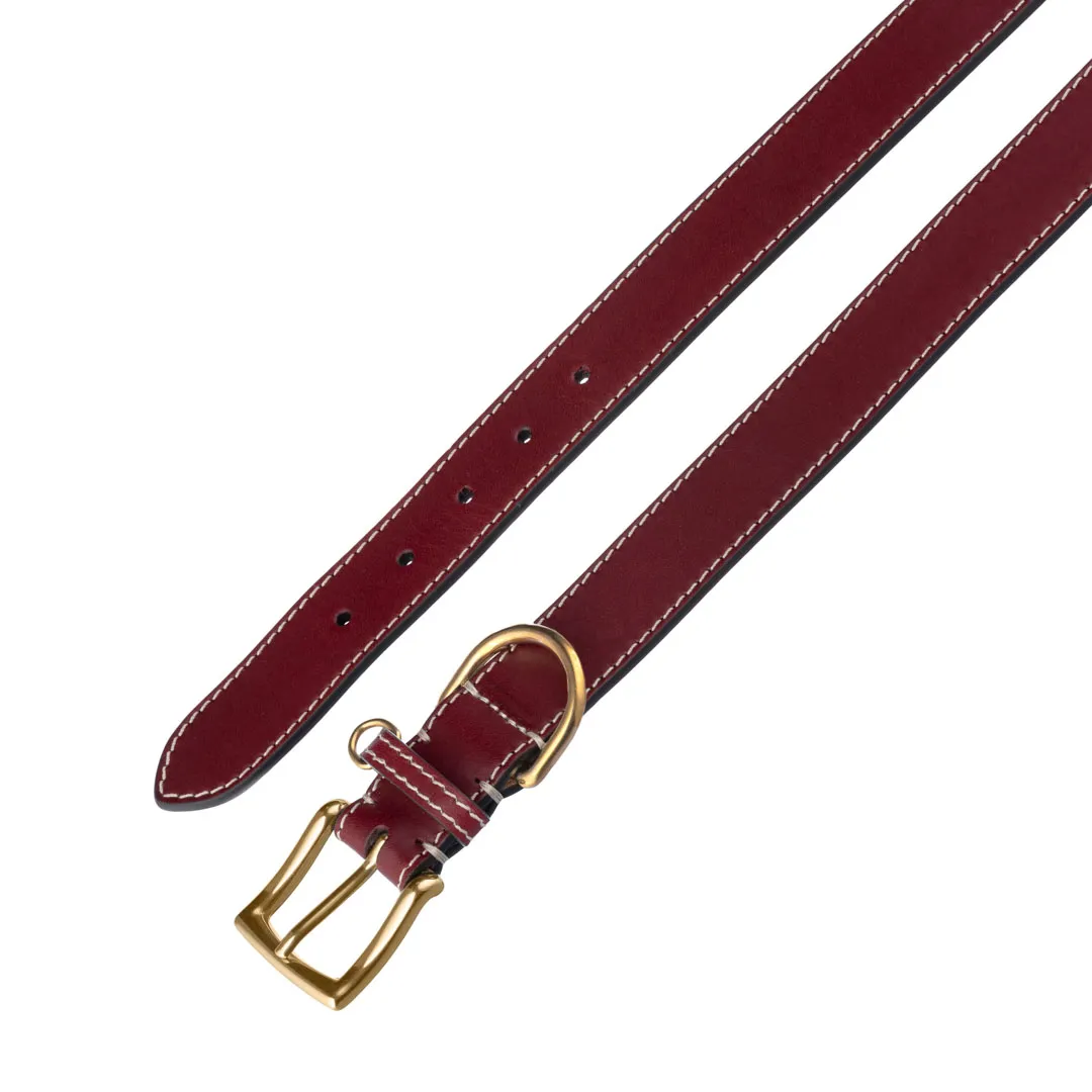 Re Artù in Firenze Jenna L collare cane pelle 47 cm