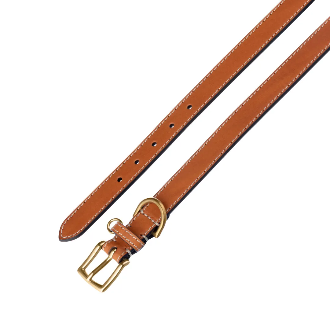 Re Artù in Firenze Jenna M collare cane 42 cm personalizzato